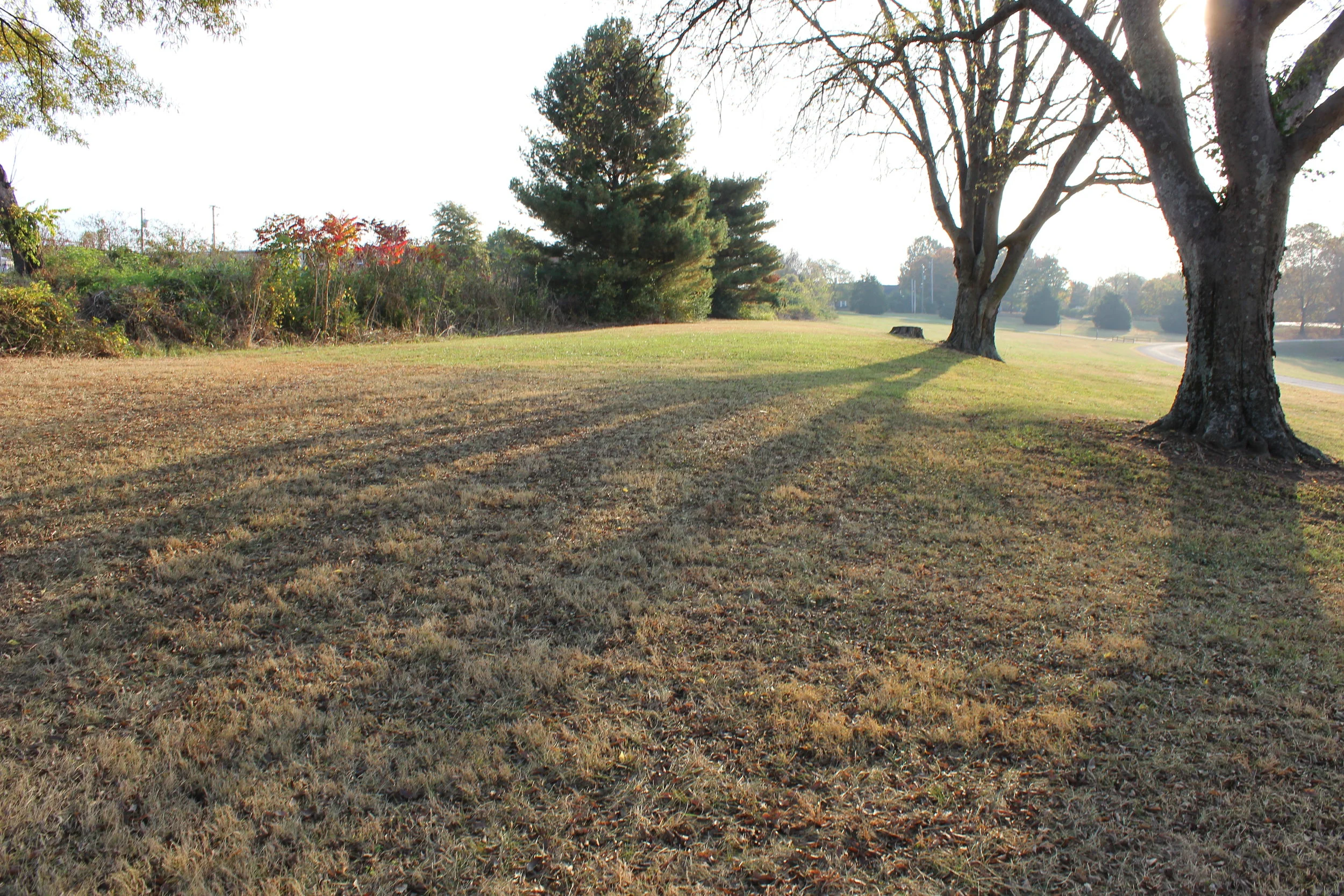 Picnic and Multi-Use Space