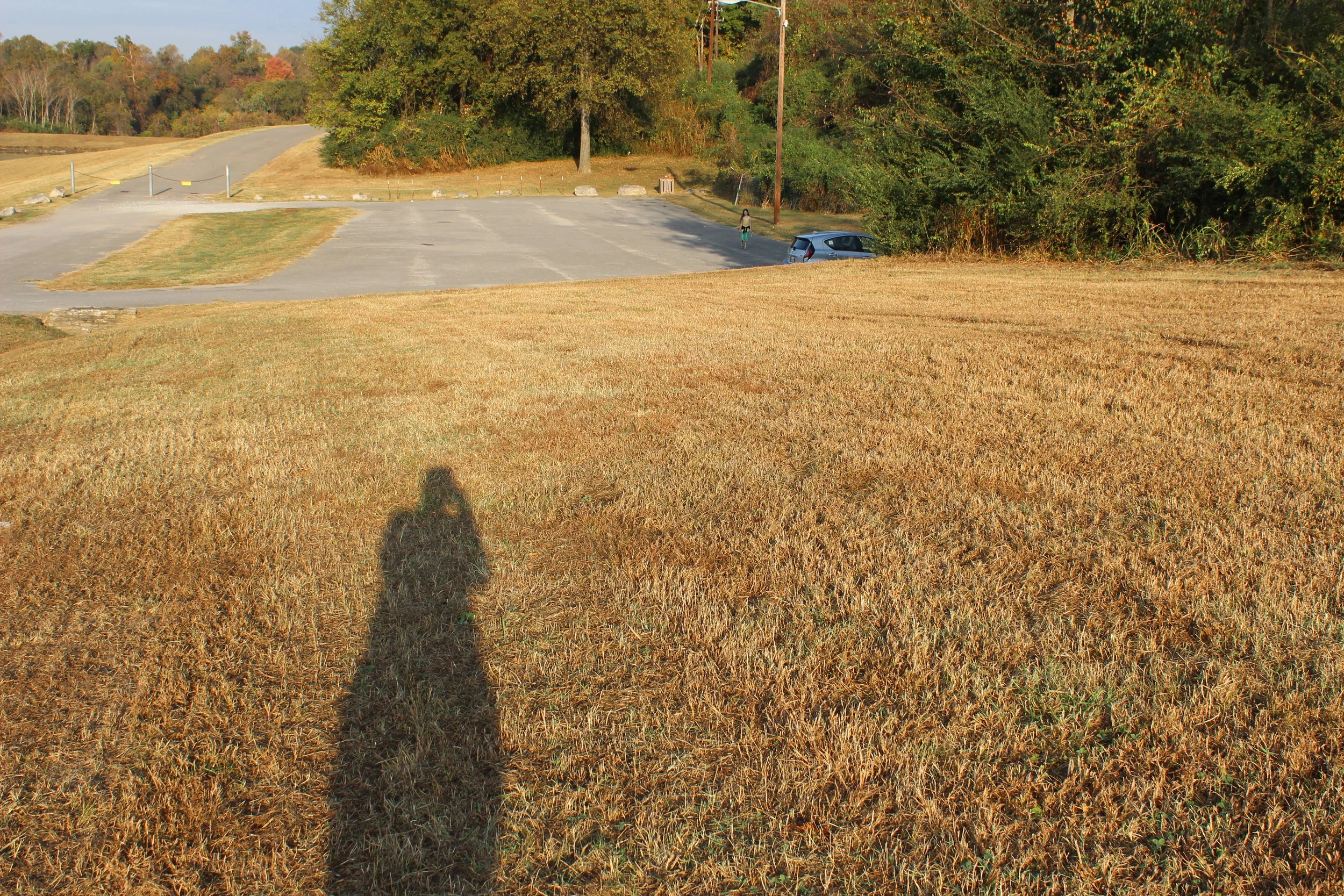 Monarch Butterfly Lab