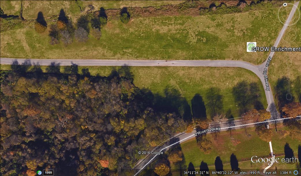 Google Earth View - Orchard and lower forest