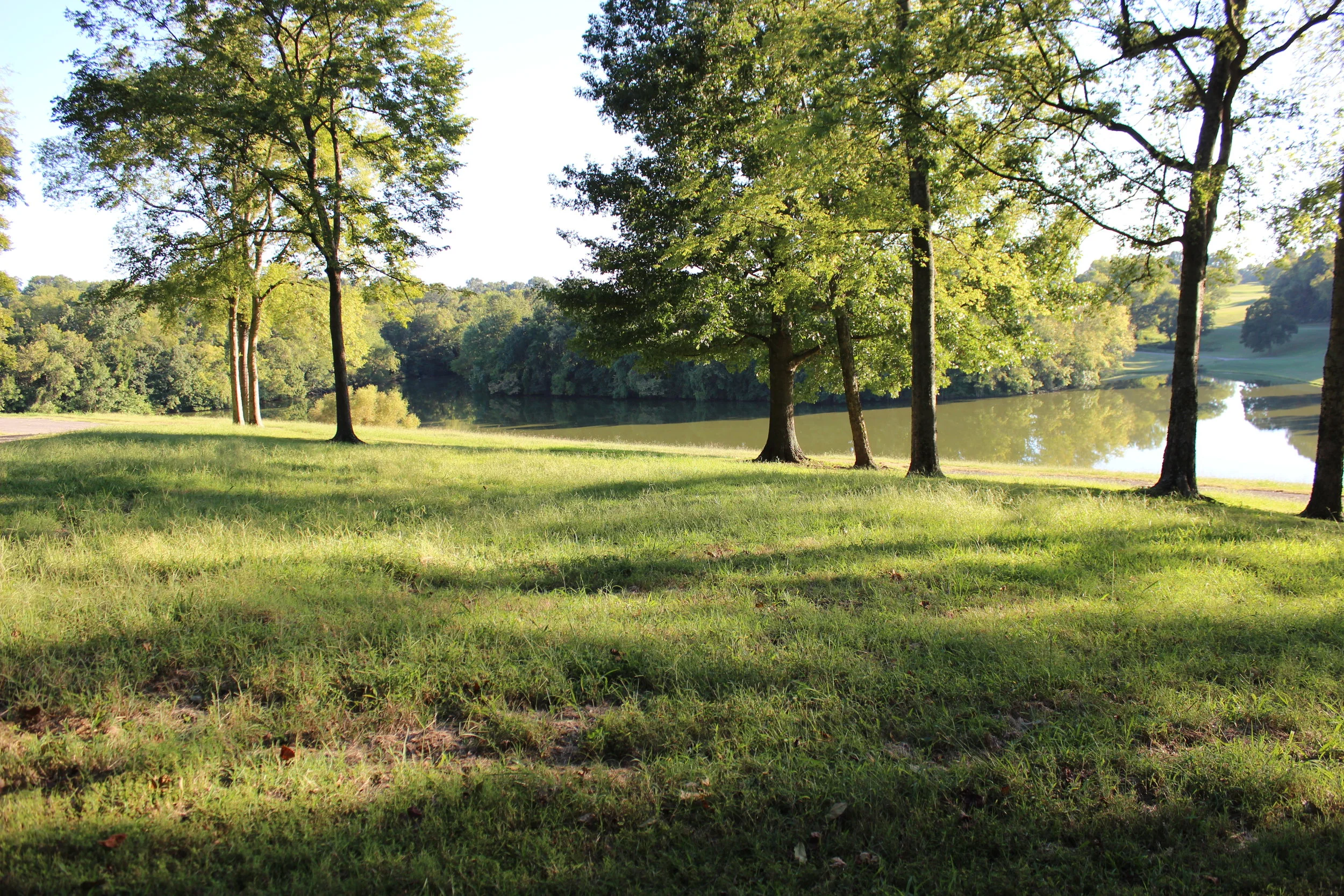 Natural Playground Construction