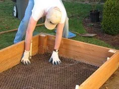 Garden Workday - Raised Bed Construction & Shed Building