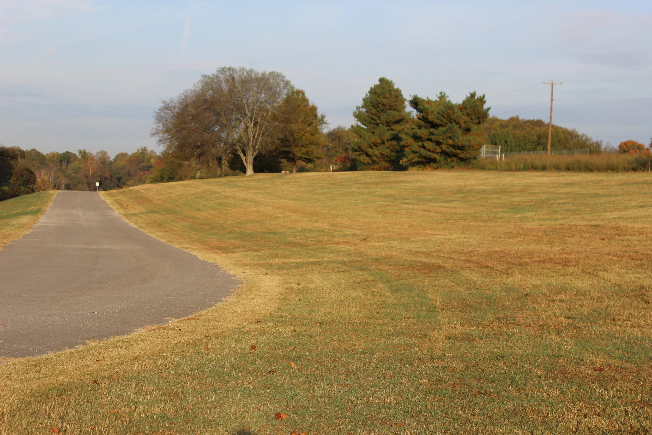 Orchard Project Workday