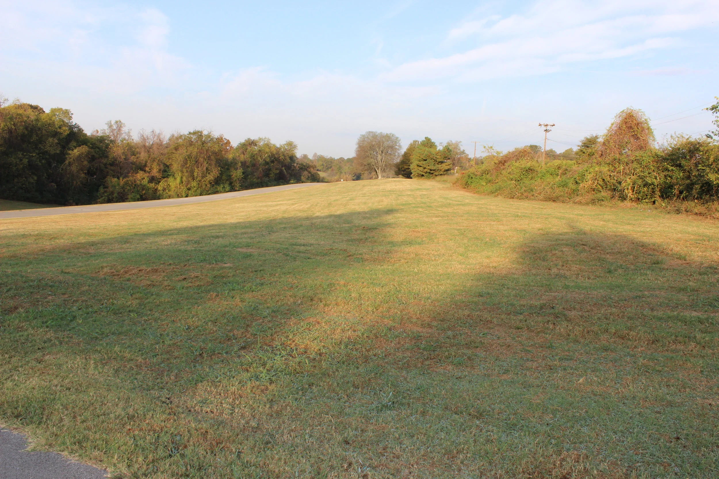Orchard Project Workday