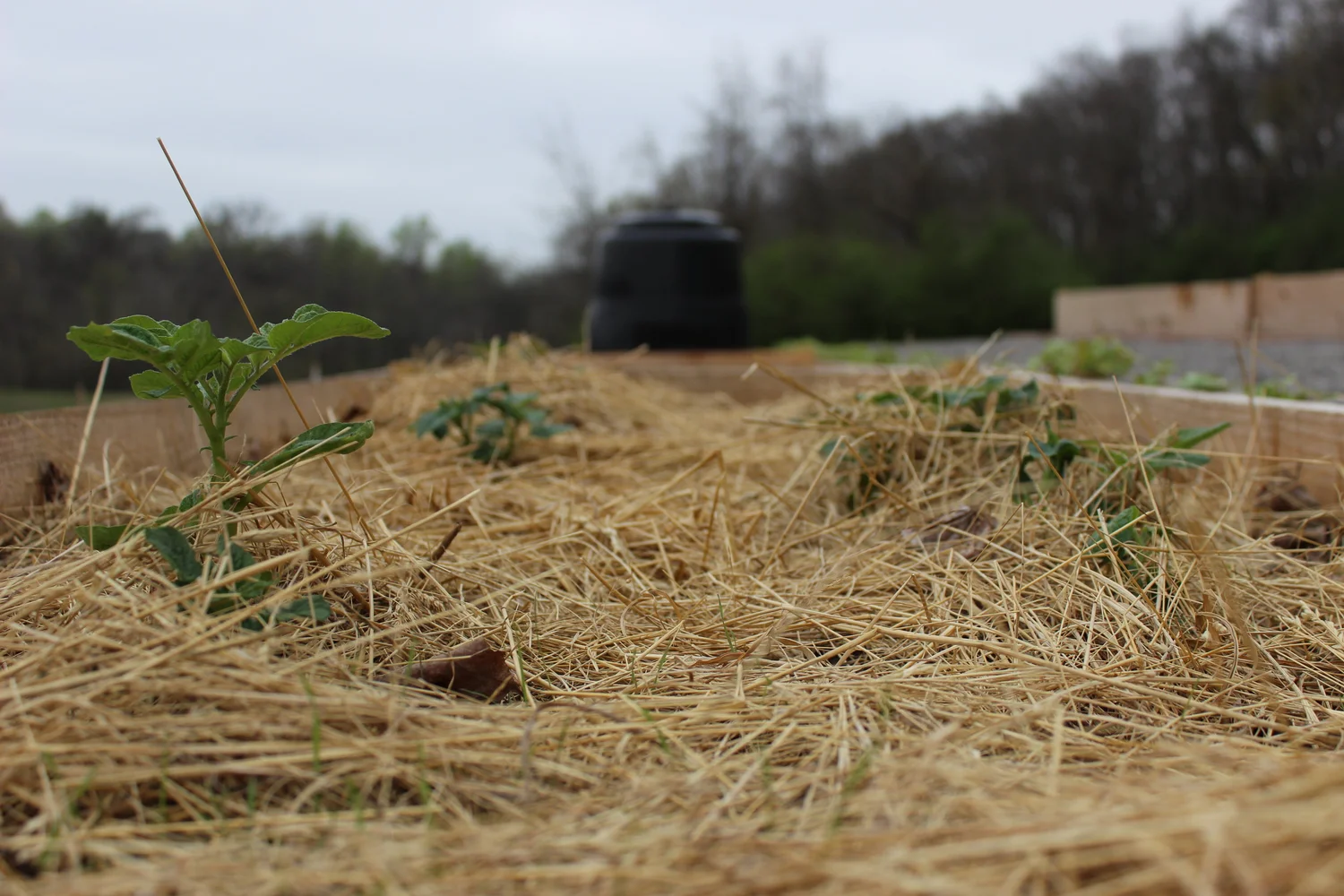 Home - GROW Enrichment