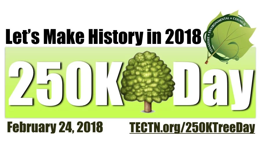 250K-logo-for-website-make-history-revisedjpeg.jpg