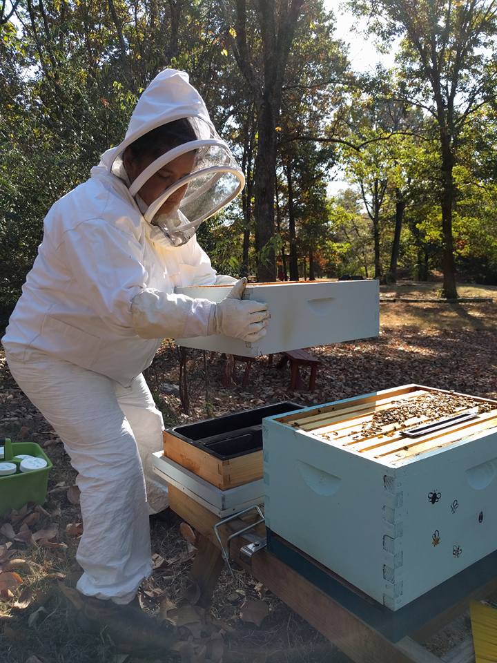 monica bee inspection.jpg