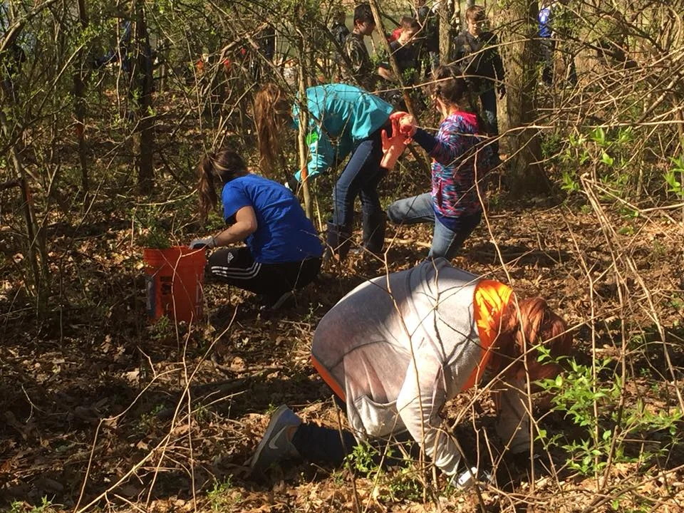 Volunteer Opportunity - Urban Forest Restoration at GROW
