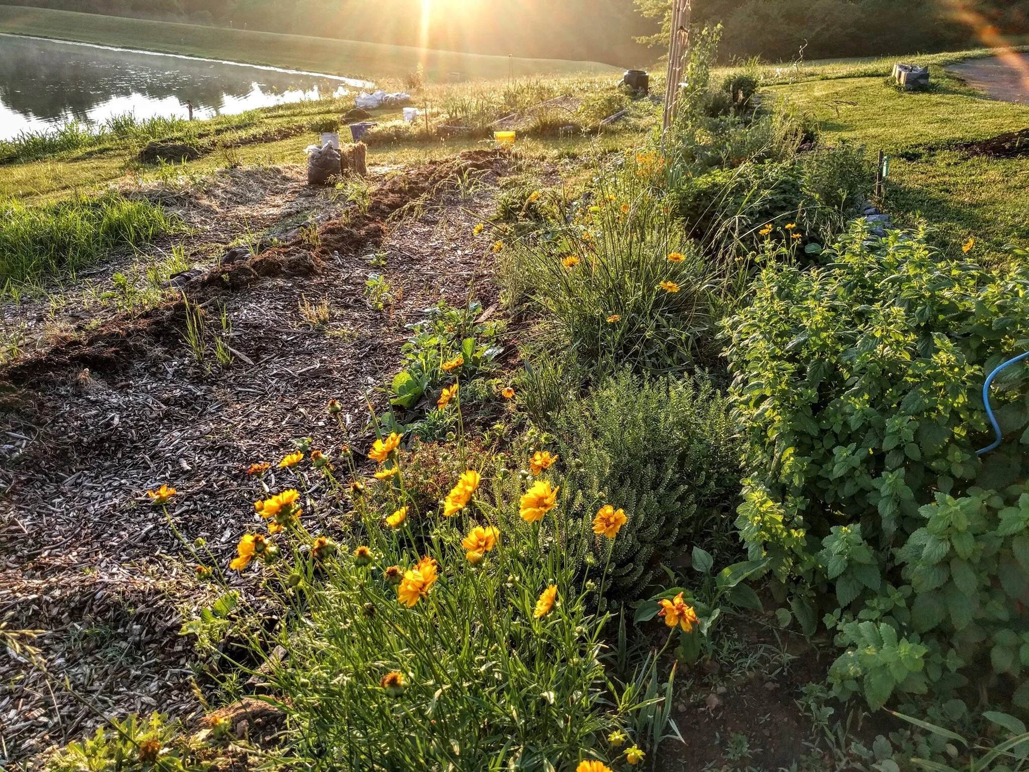 Volunteer Opportunity - Garden Cleanup  