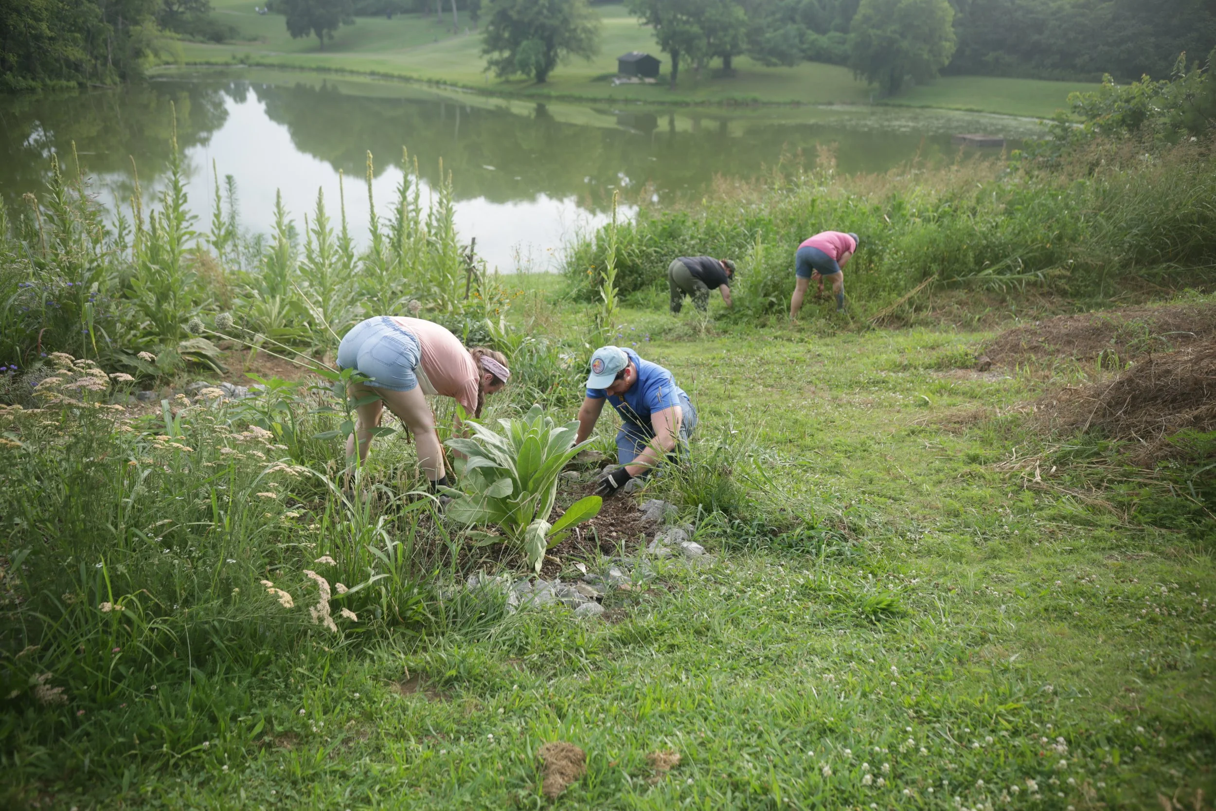 Garden Work Day