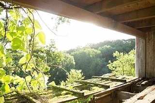 I stumbled upon this treehouse one day while scouting out locations for a family photo session. It's like something out of a fairy tale!