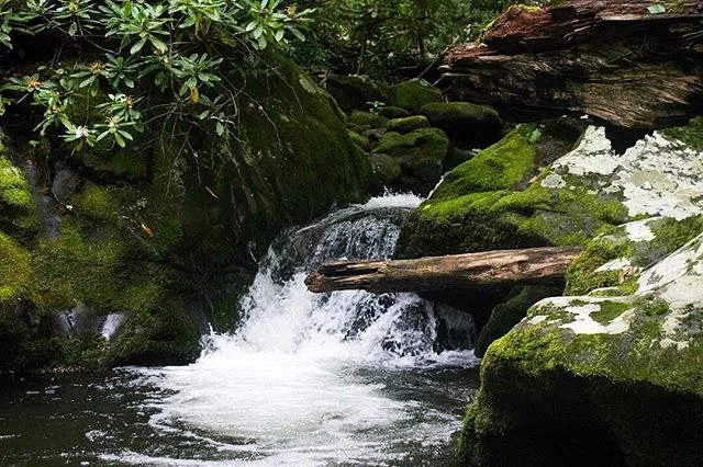 Thank you, @nationalparkservice , for preserving America's national beauty for us! #NPS100 
@greatsmokynationalpark @greatsmokynps 
#nationalpark #greatsmokymountains #waterfall #beauty #photography #Tennessee #america #camera #nikon #nikonD5300 #usa