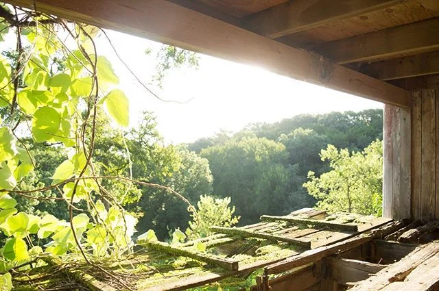 One of my favorite finds&mdash;a treehouse hidden on a college campus.