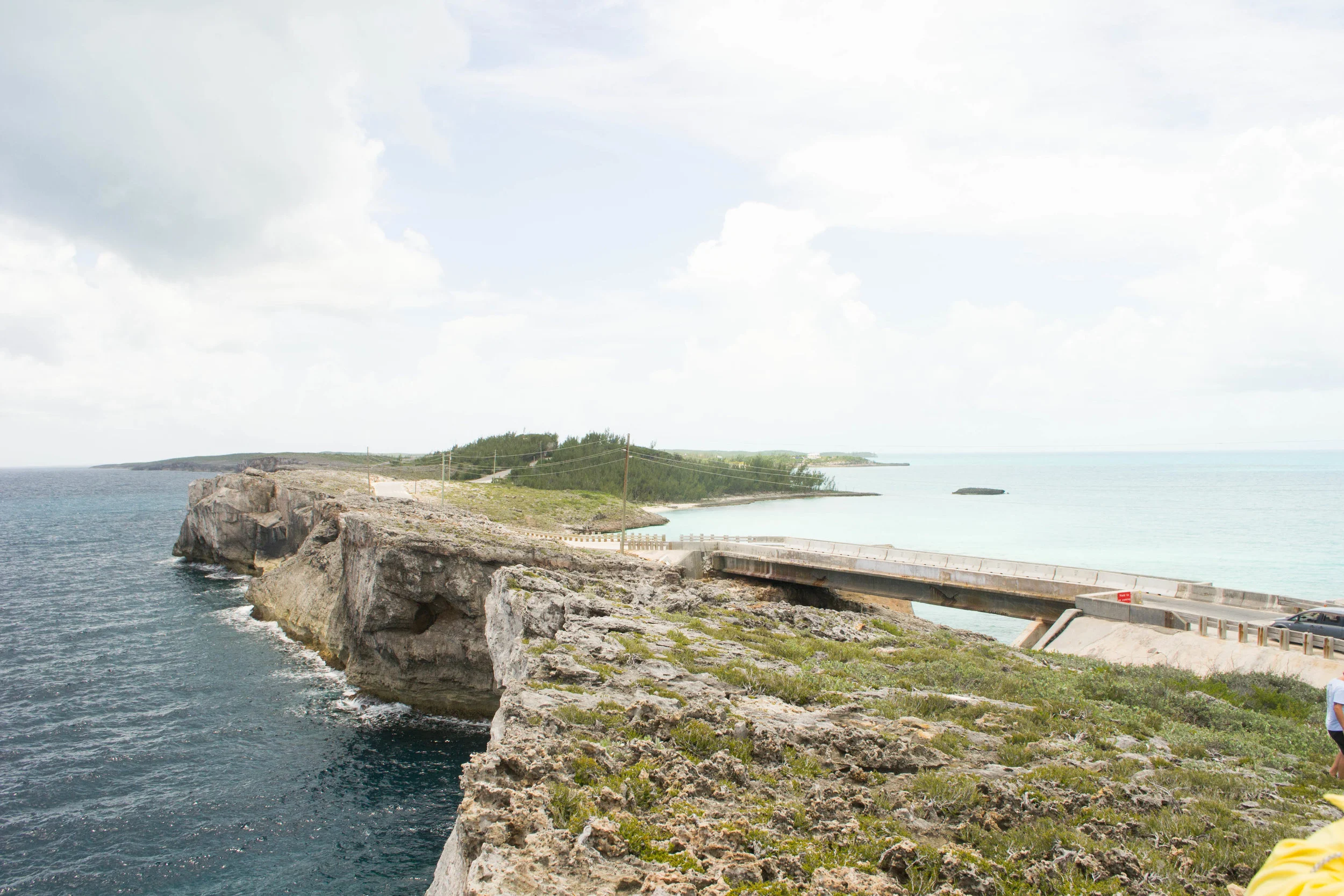 DSC_0712.jpg