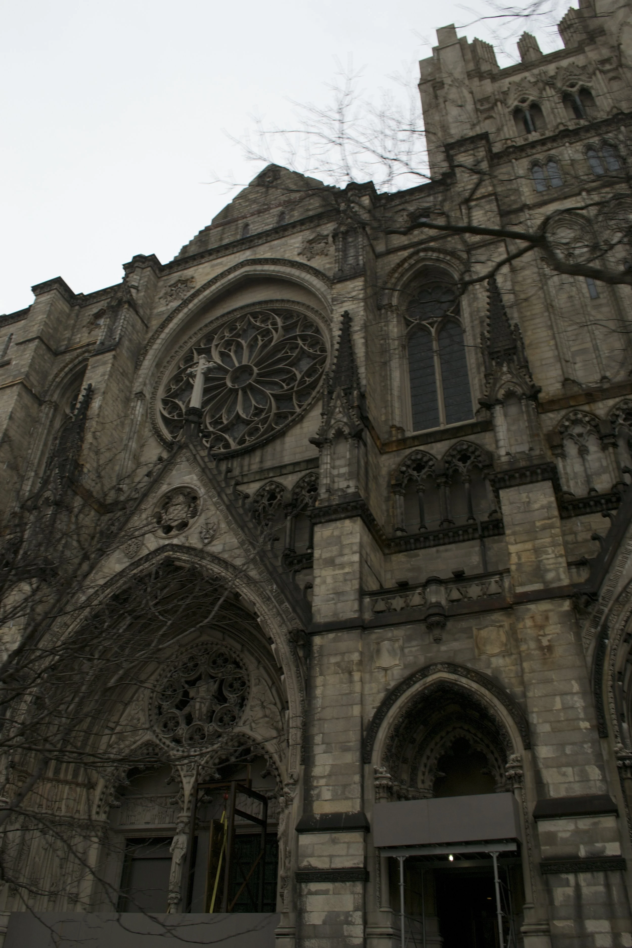 DSC_0792.jpg