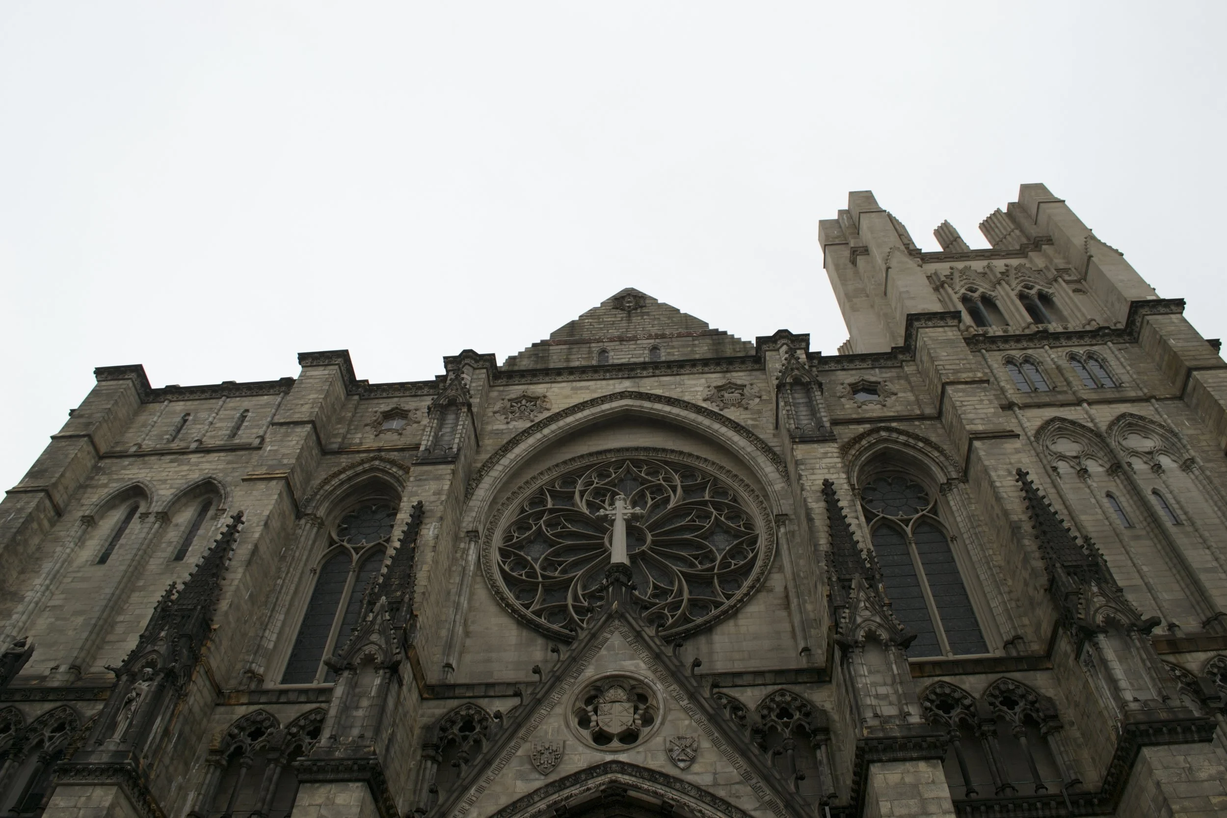 DSC_0793.jpg