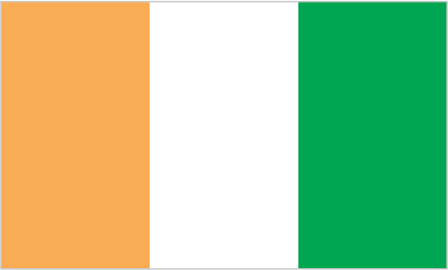 Côte d’Ivoire Dr. Williams provided legal assistance to the Government of Côte d’Ivoire in relation to the investigation and prosecution of atrocity crimes committed during the 2010-2011 post-election crisis.