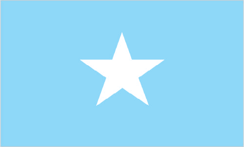 Somalia Dr. Williams served as legal counsel to the civil society delegation to the Somalia peace talks held in Eldoret, Kenya.