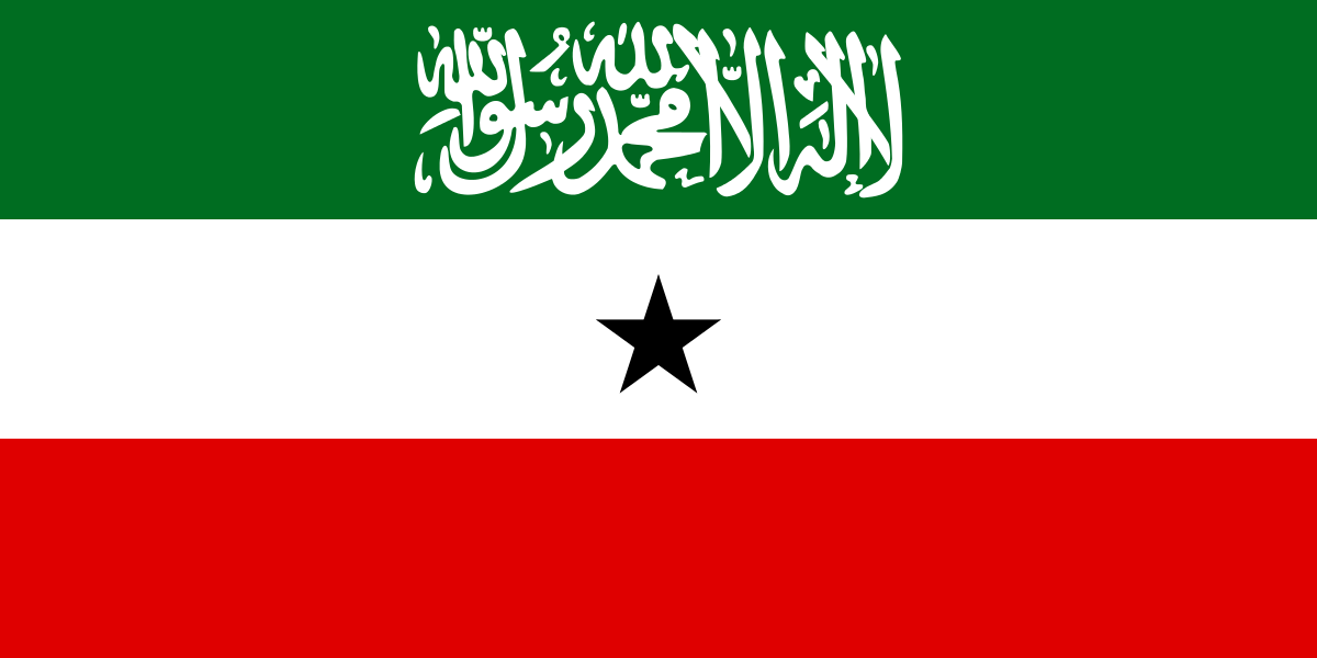 Somaliland Dr. Williams advised the Somaliland government on a variety of legal issues pertaining to constitutional reform and legislative enactments.