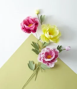 resized_ss_peony_009.jpg