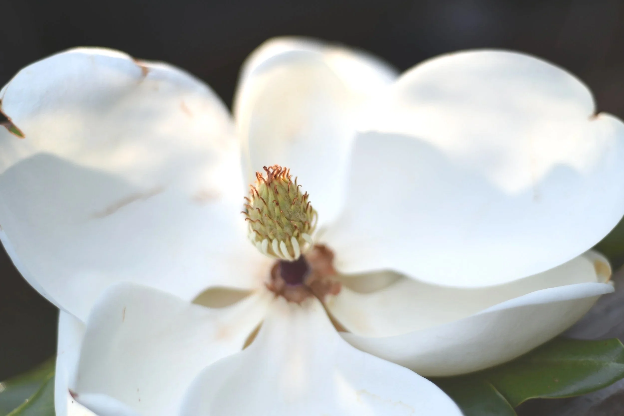 unsplash-image-4hL77yg628I.jpg