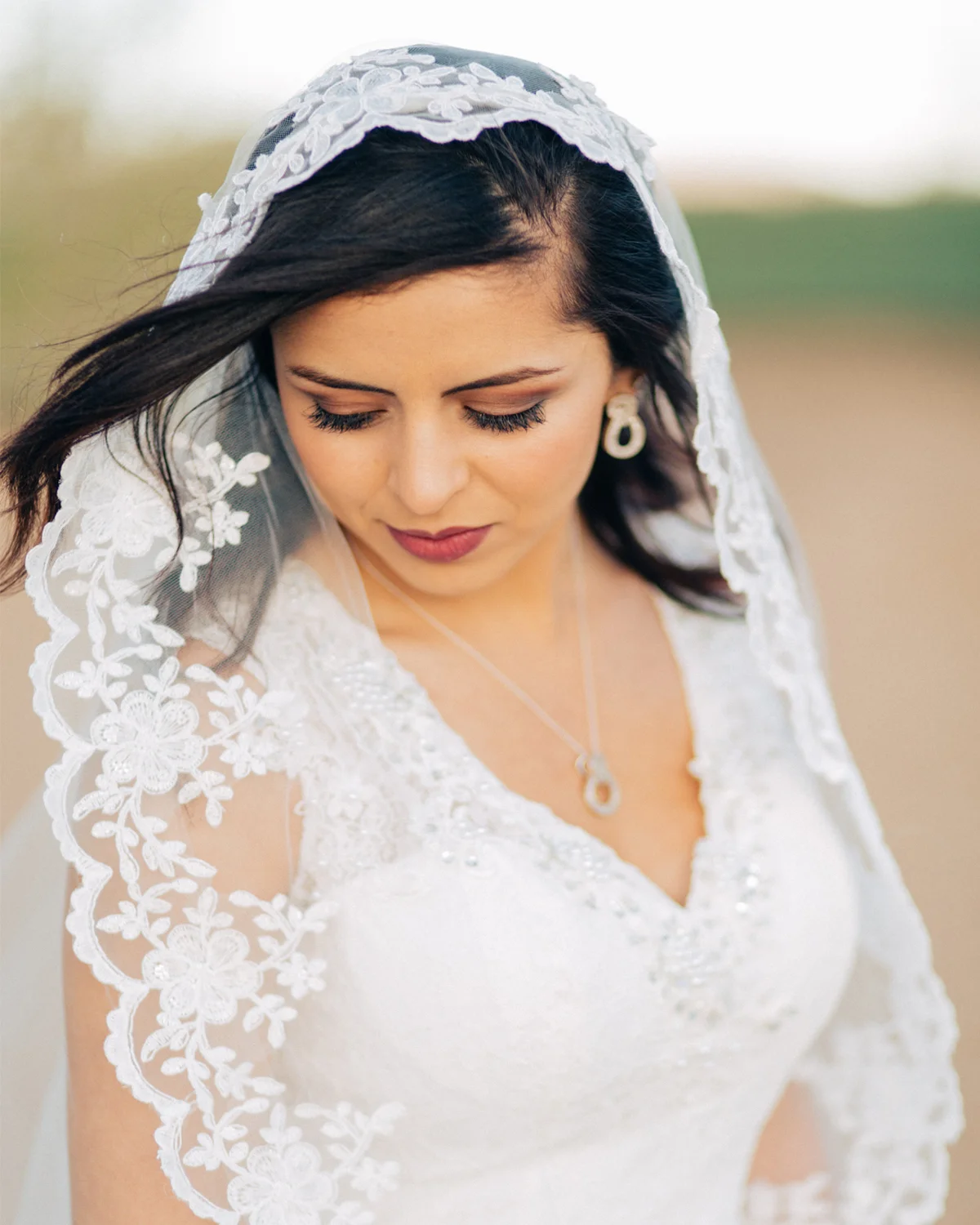 Mantilla Lace Veil from BlancaVeils