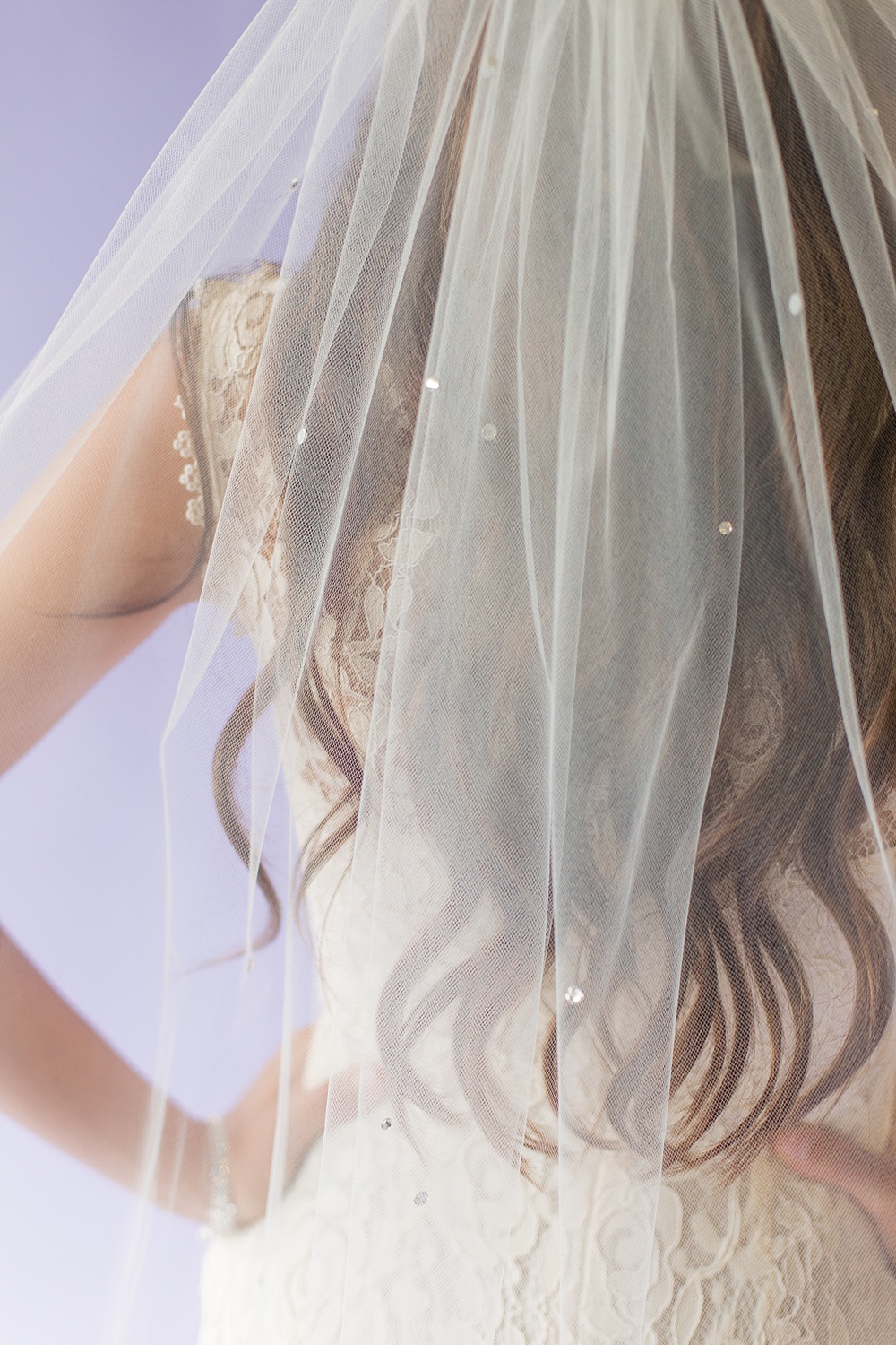 Swarovski Rhinestone Veil — Blanca Veils