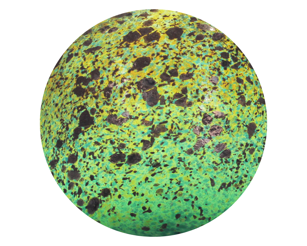 COLOR CIRCLE4.png