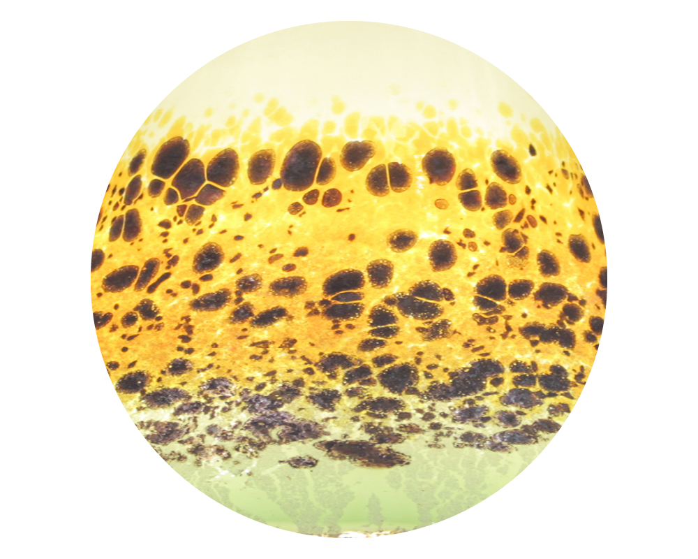 COLOR CIRCLE6.png