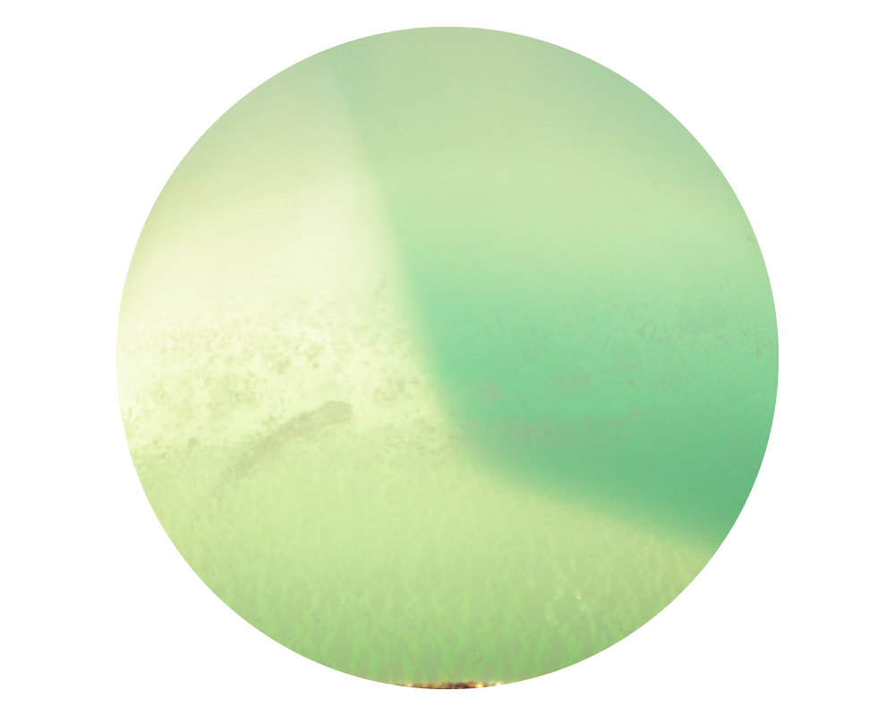 COLOR CIRCLE3.png