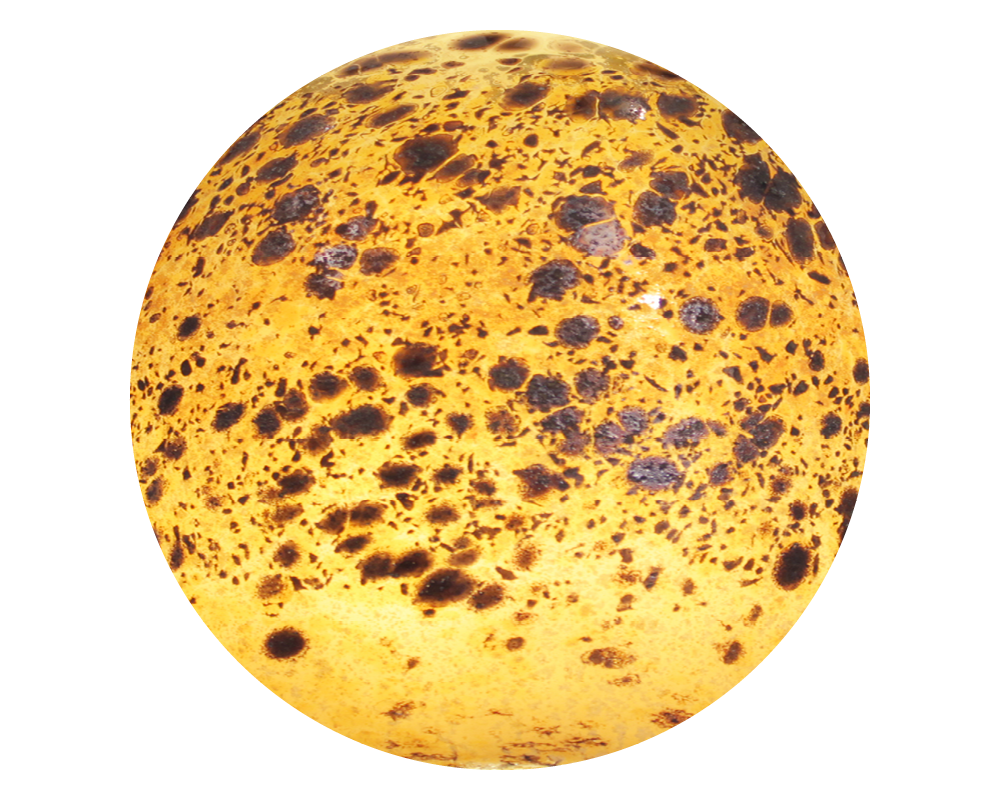 COLOR CIRCLE8.png