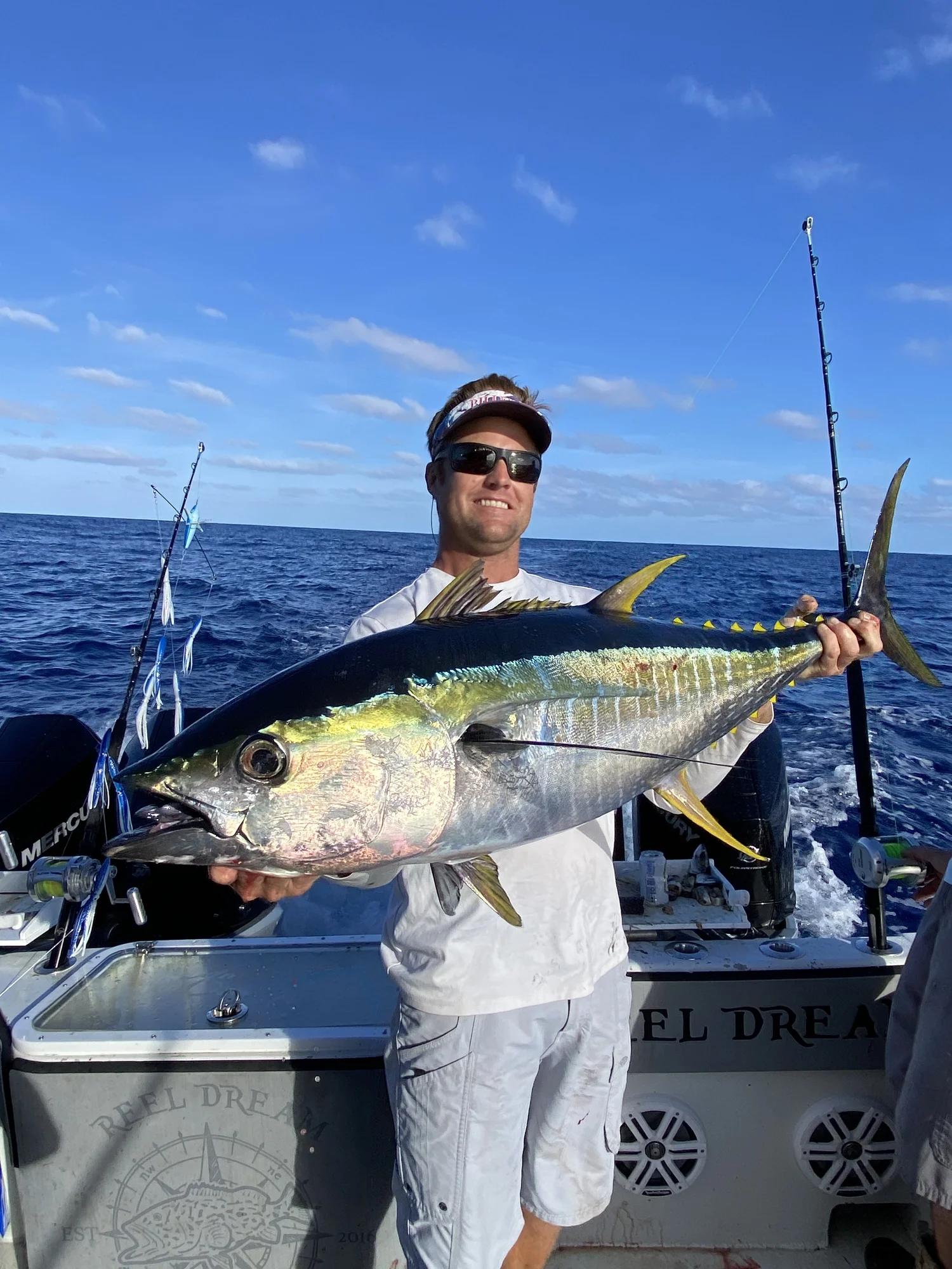 Image showcasing Image result for Fish with low pcv and environmental stress