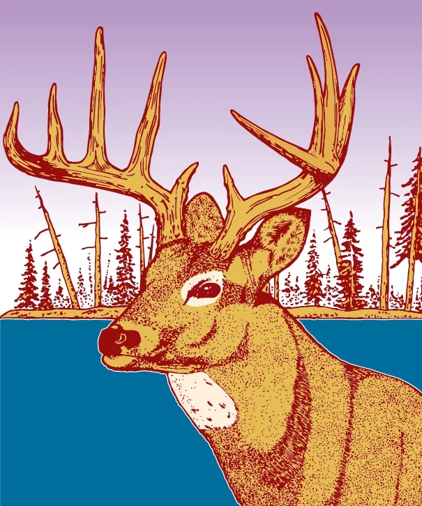 Buck head.jpg