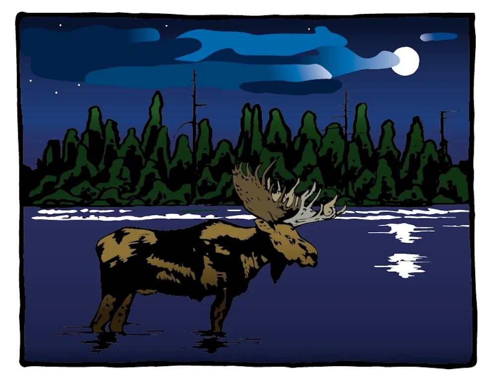 Night Moose.jpg