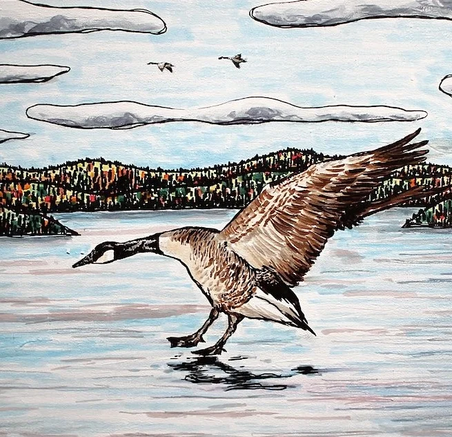 Goose landing on lake.jpg