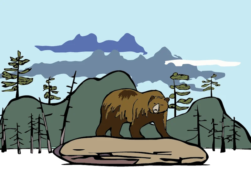 Bear on hill a.jpg