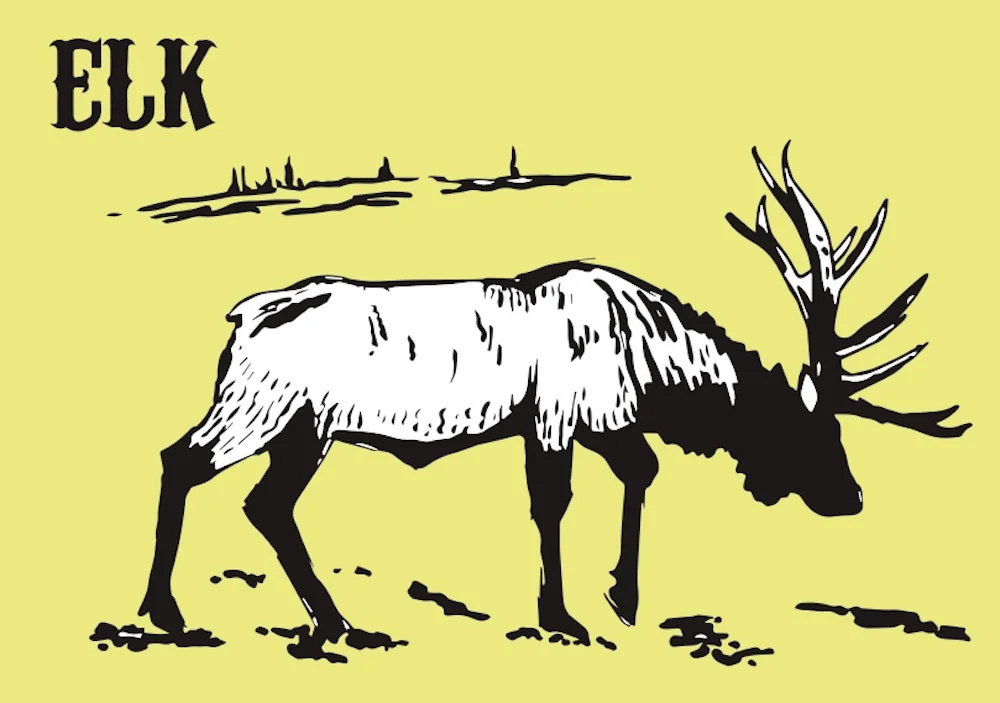 ELK a.jpg