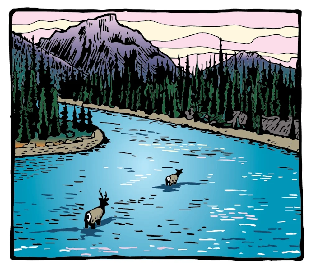 Elk in Jasper.jpg