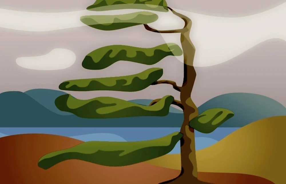 fall pine.jpg