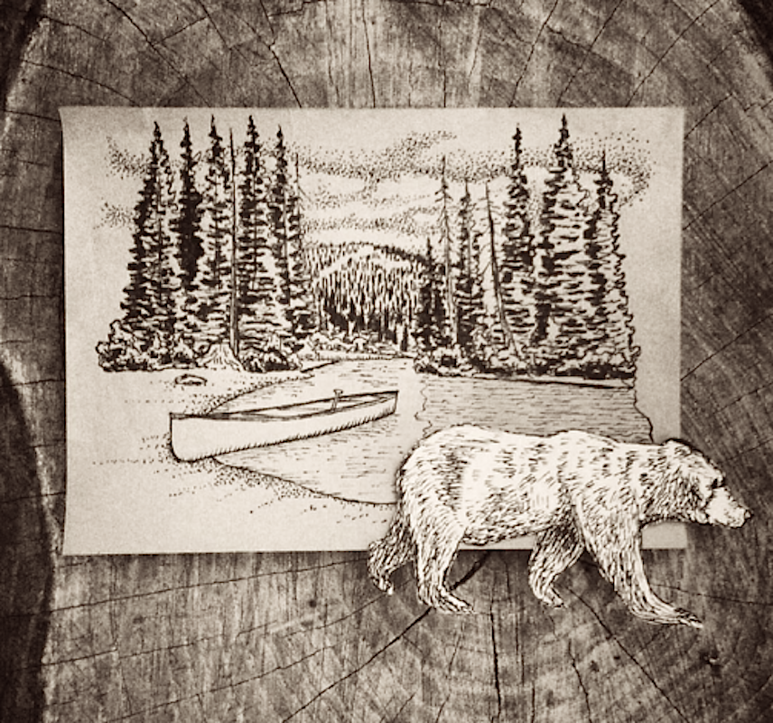 Bear on canoe drawing.png
