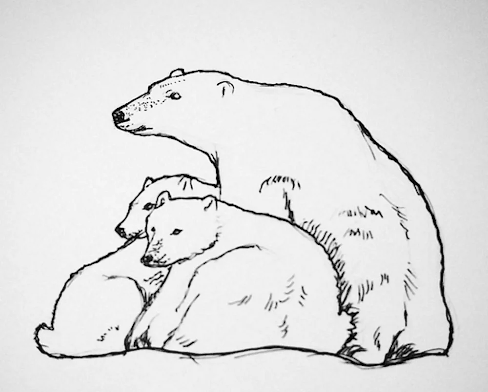 Polar family.jpg