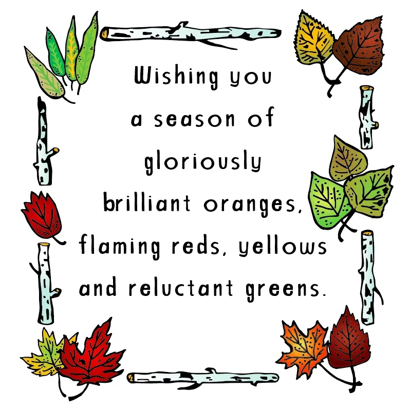 Fall leaves.jpg