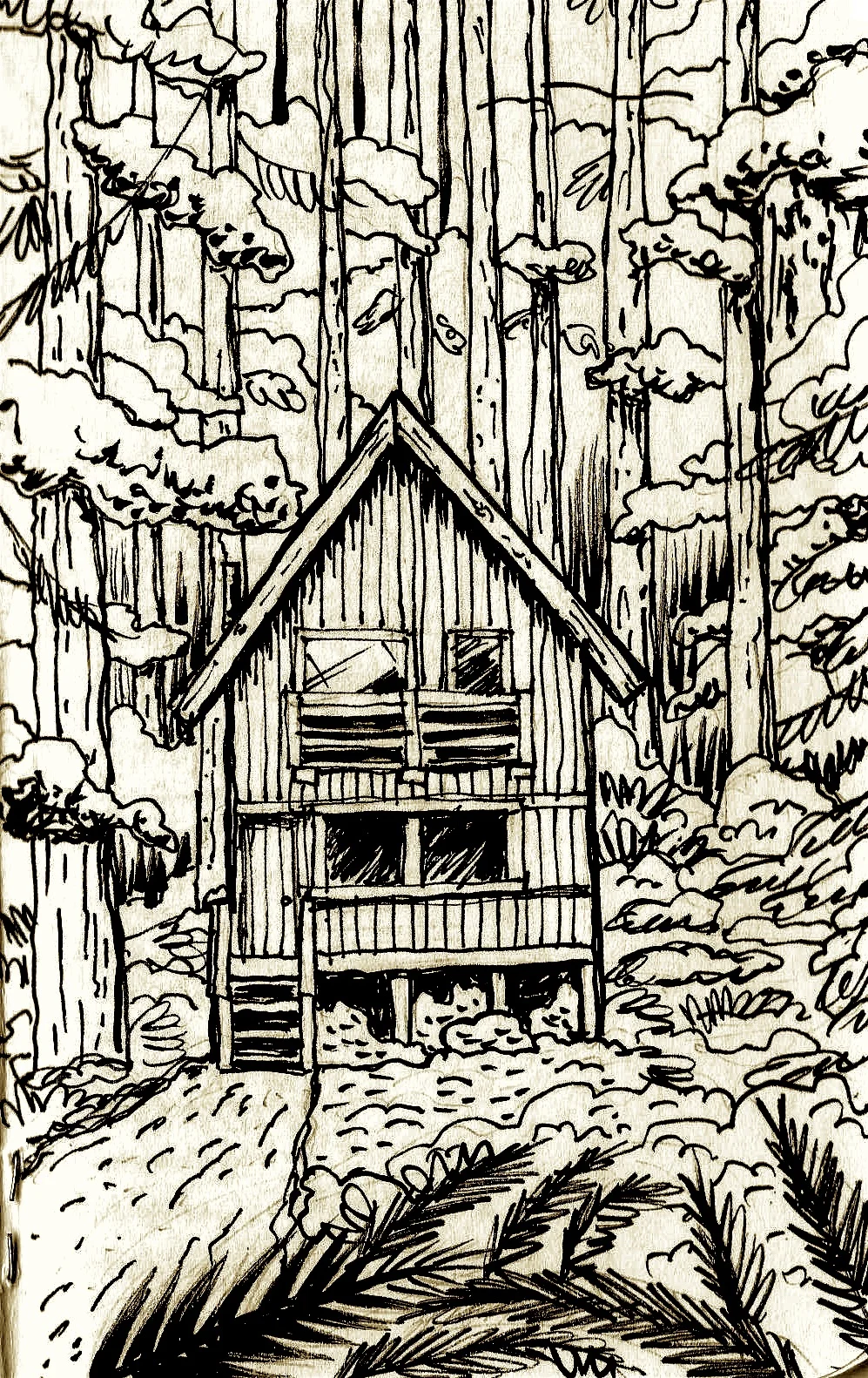Cabin in the woods.jpg