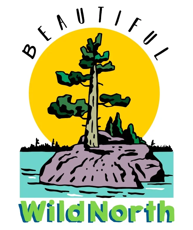 Beautiful Wild North.jpg