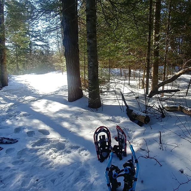 Snowshoeing near Kinmount, Ontario. Didn't think I'd get on them this year. 👍 nice lil private lake and trails. 💚🌲 #snowshoeing #campfire #hiking #winterhike #kinmountontario #freshsnow