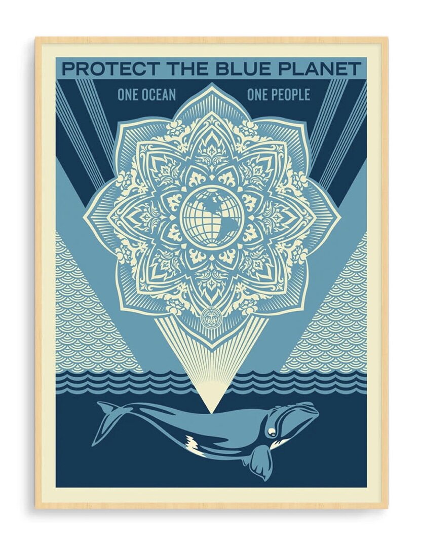 FDC331C2-DF90-41F1-B017-BB0365244FF4