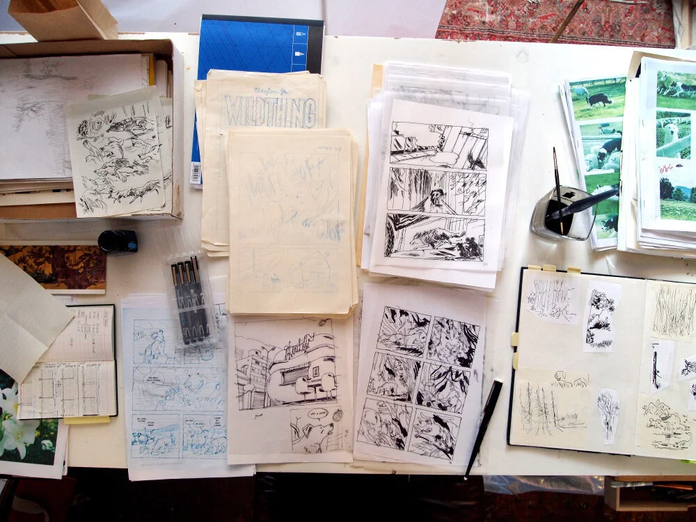 Psicotrópicos Festival - Comics Lecture by Clayton Junior