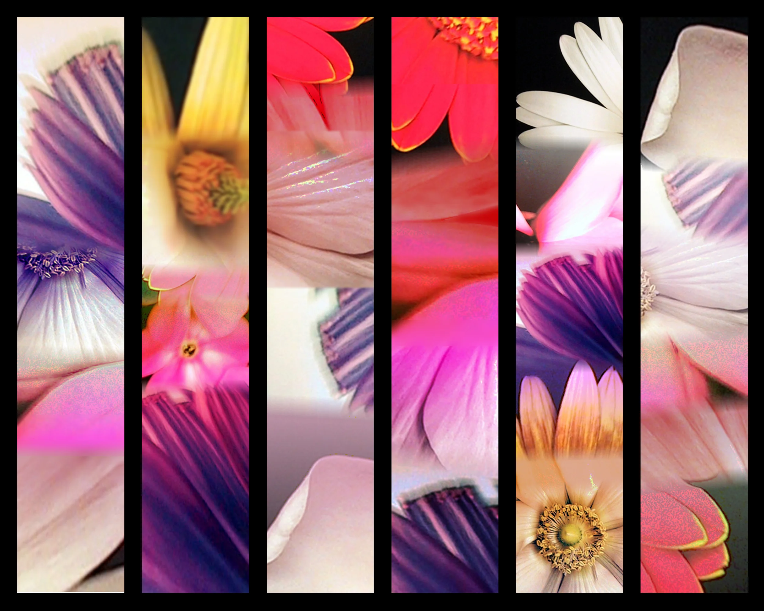 Untitled Flowers