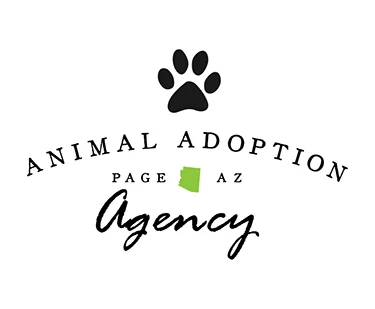 PAAA_logo-home.jpg