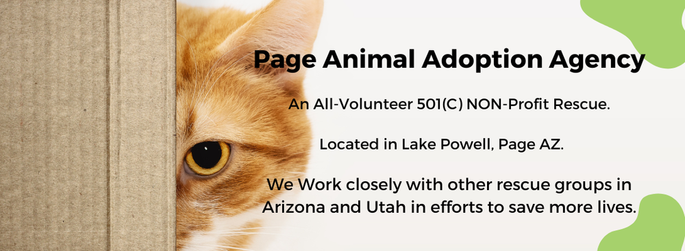 Page Animal Adoption Agency