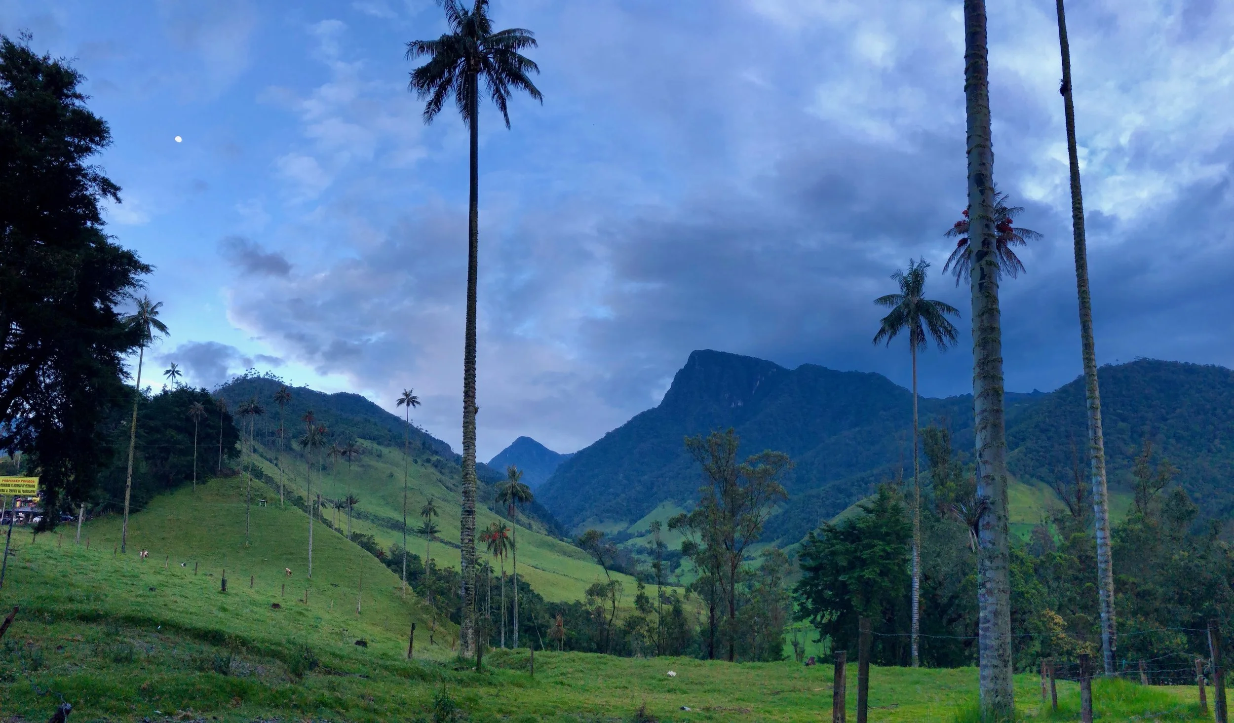 Paradise is very nice